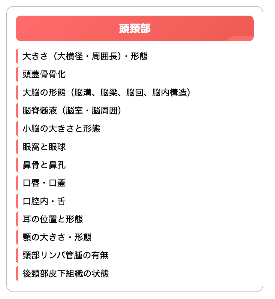出生前診断 中期・後期
