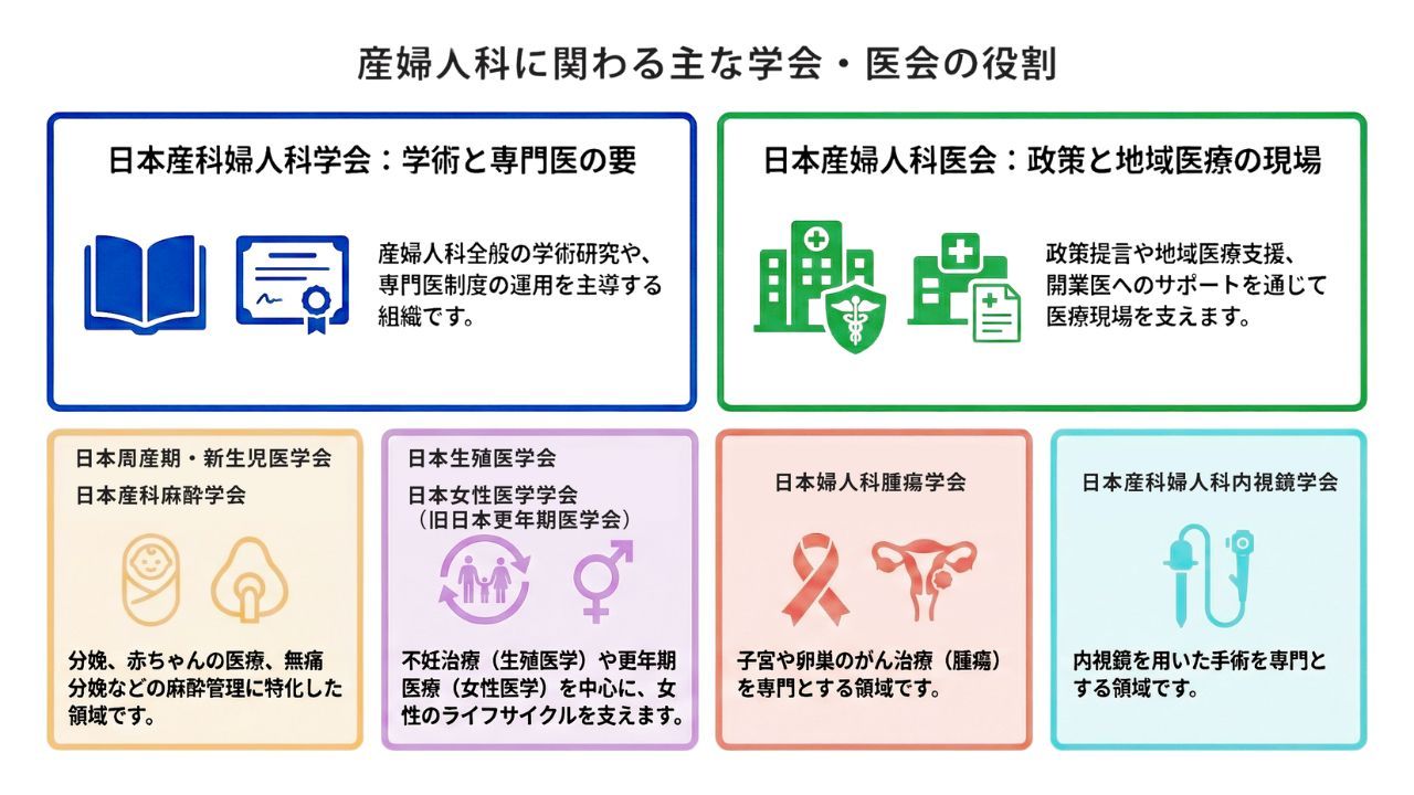 学会1.jpg