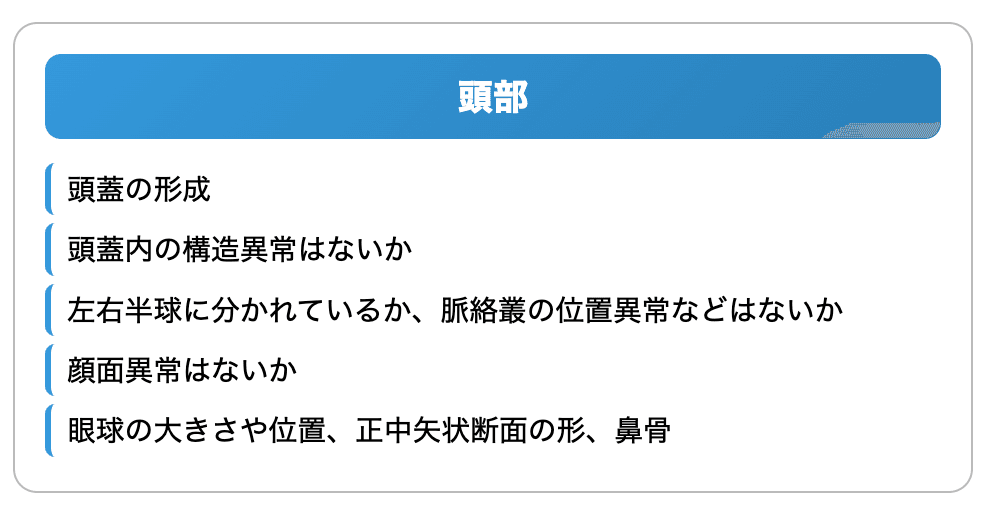 出生前診断 初期