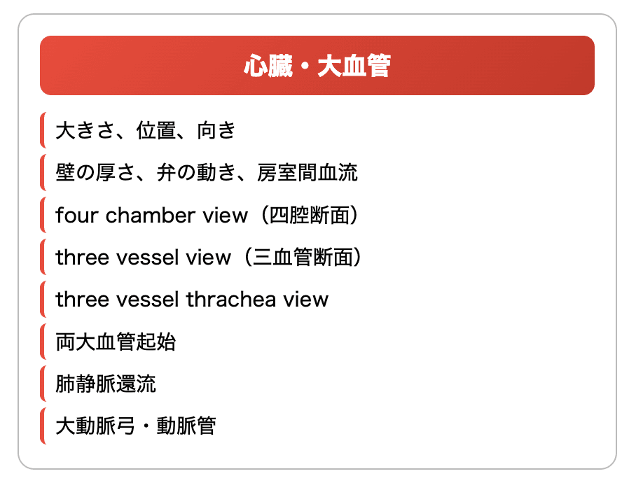 出生前診断 中期・後期