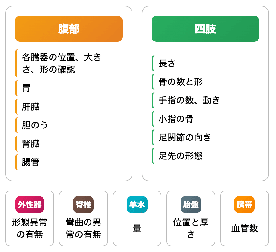 出生前診断 中期・後期