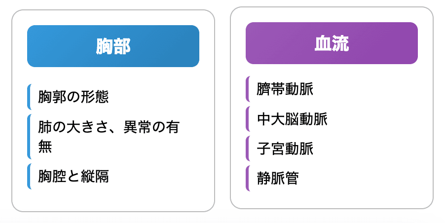 出生前診断 中期・後期