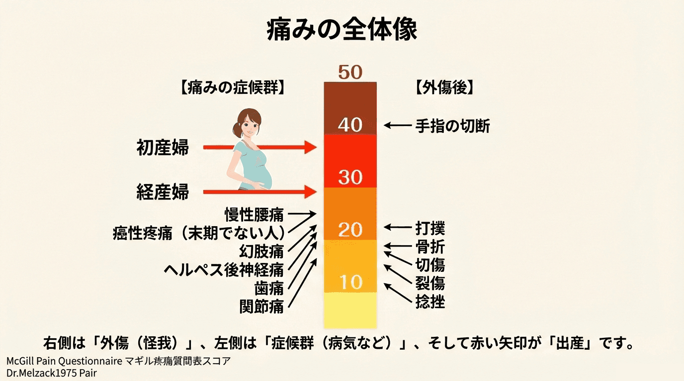 痛み スコア