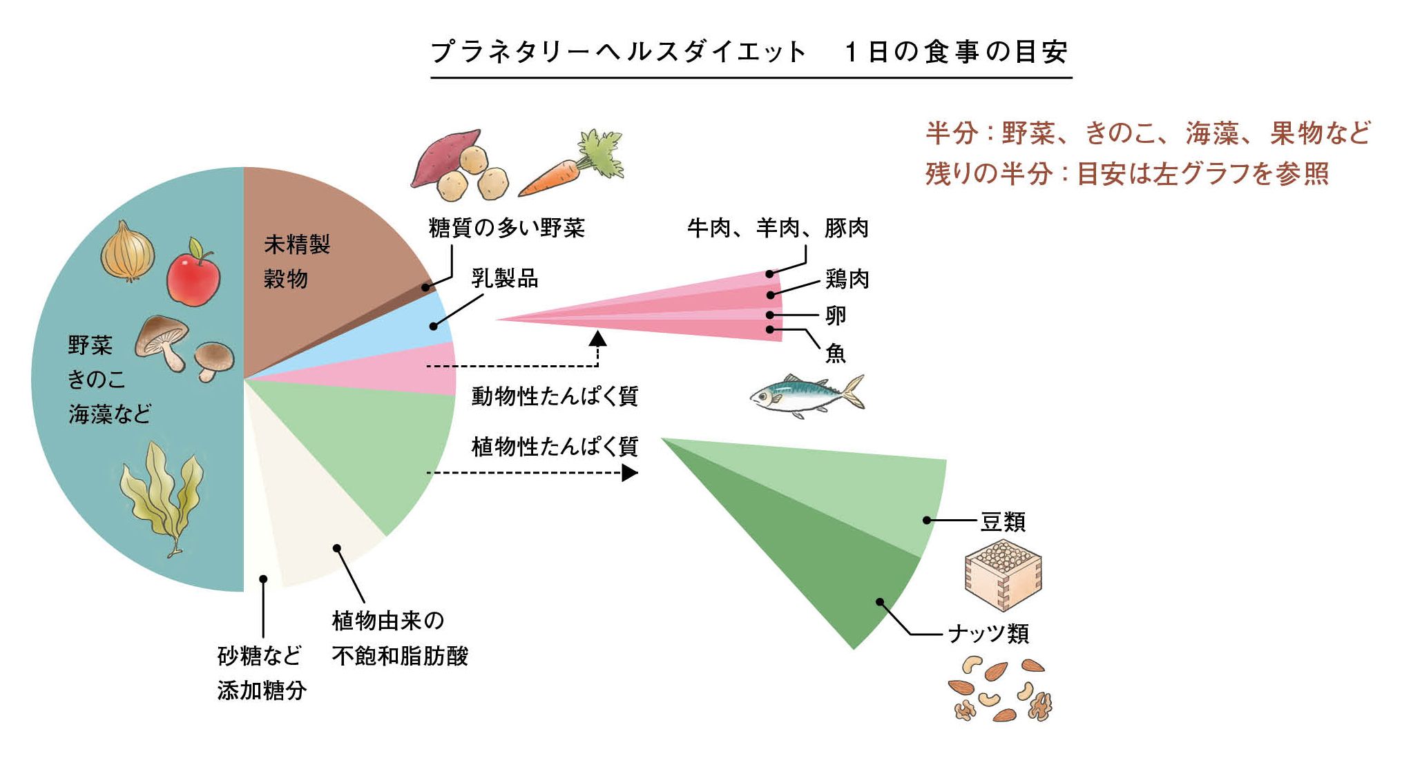 プラネタリーヘルスダイエットの1日の食事の目安
