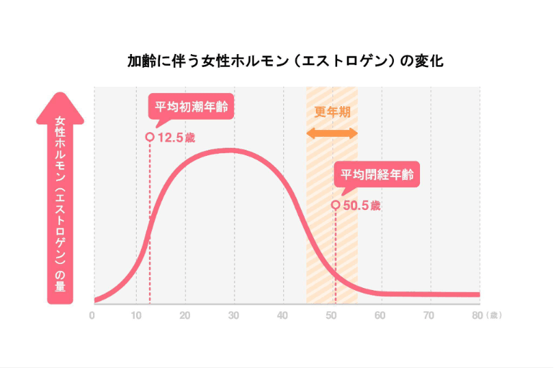 加齢に伴う女性ホルモン(エストロゲン)の変化