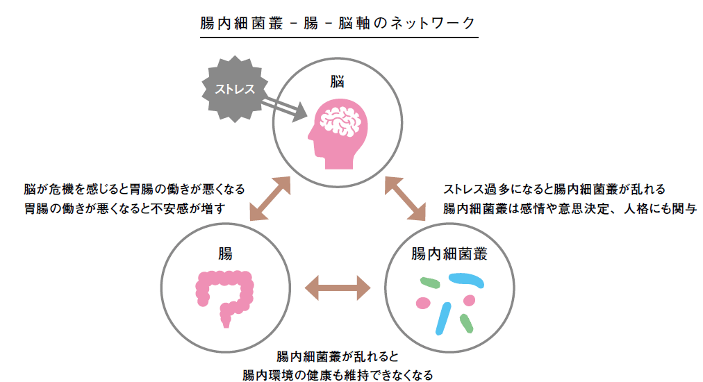 腸内細菌叢と腸、脳軸のネットワークの関係性のイラスト