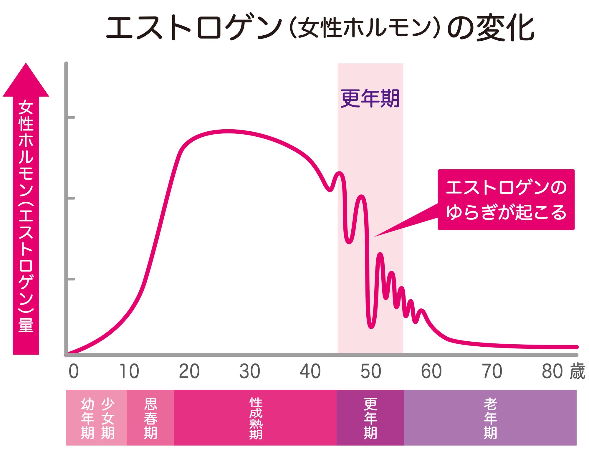 女性のライフステージとエストロゲンのグラフ