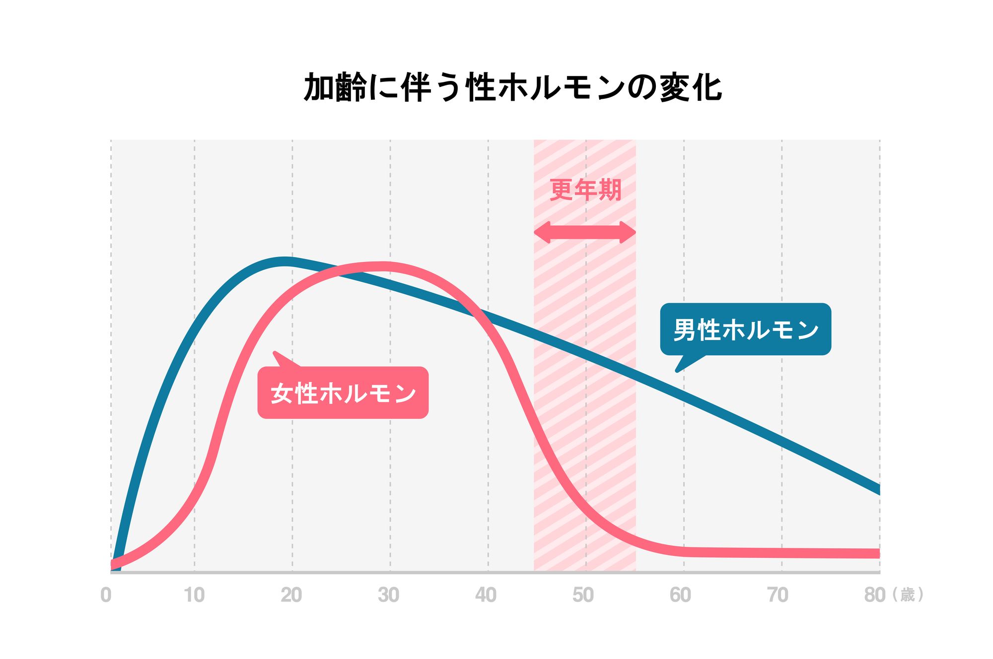 エストロゲンとテストステロンの変化