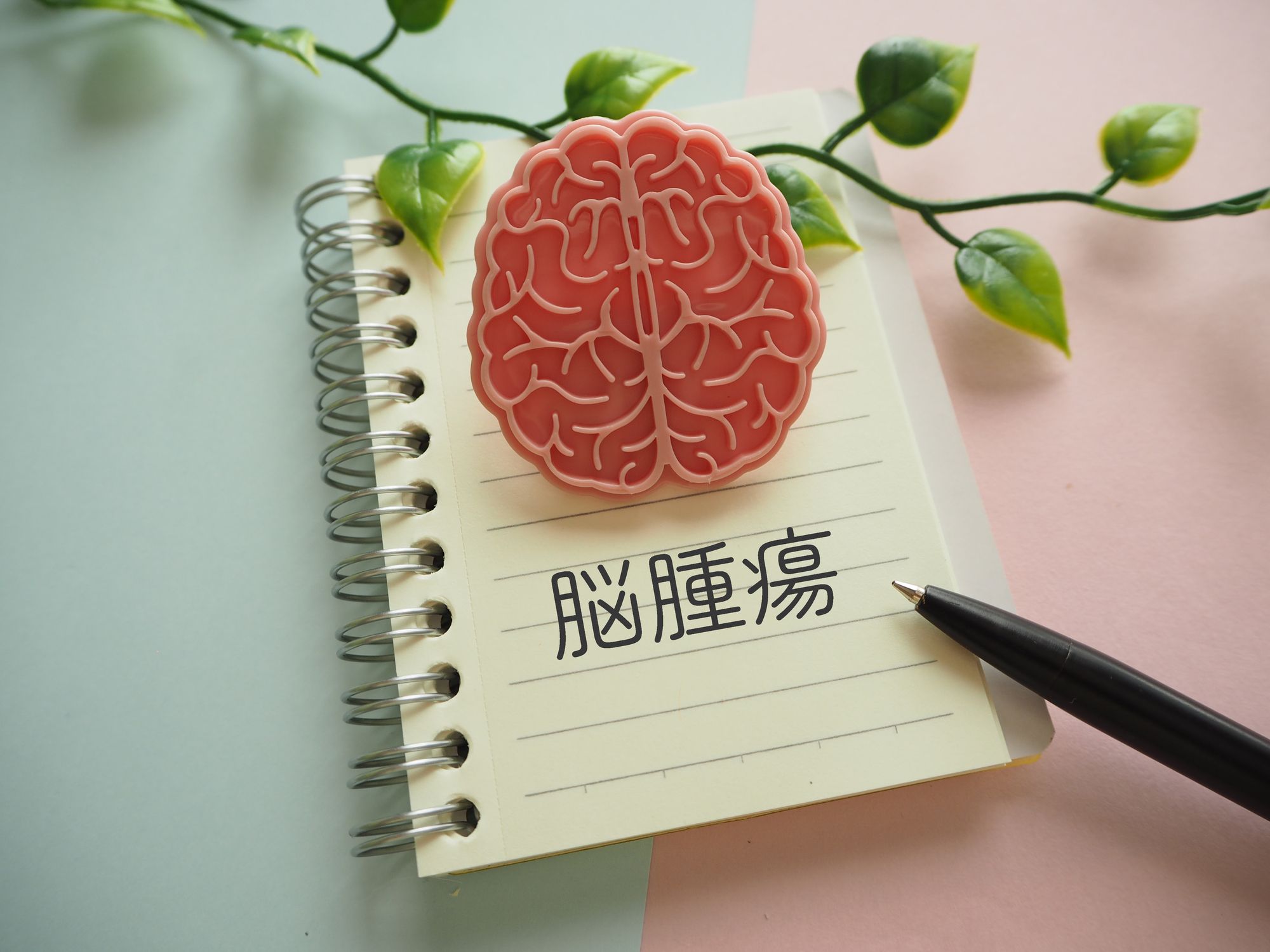 「脳腫瘍」と書かれたメモと脳の形をした置きもの