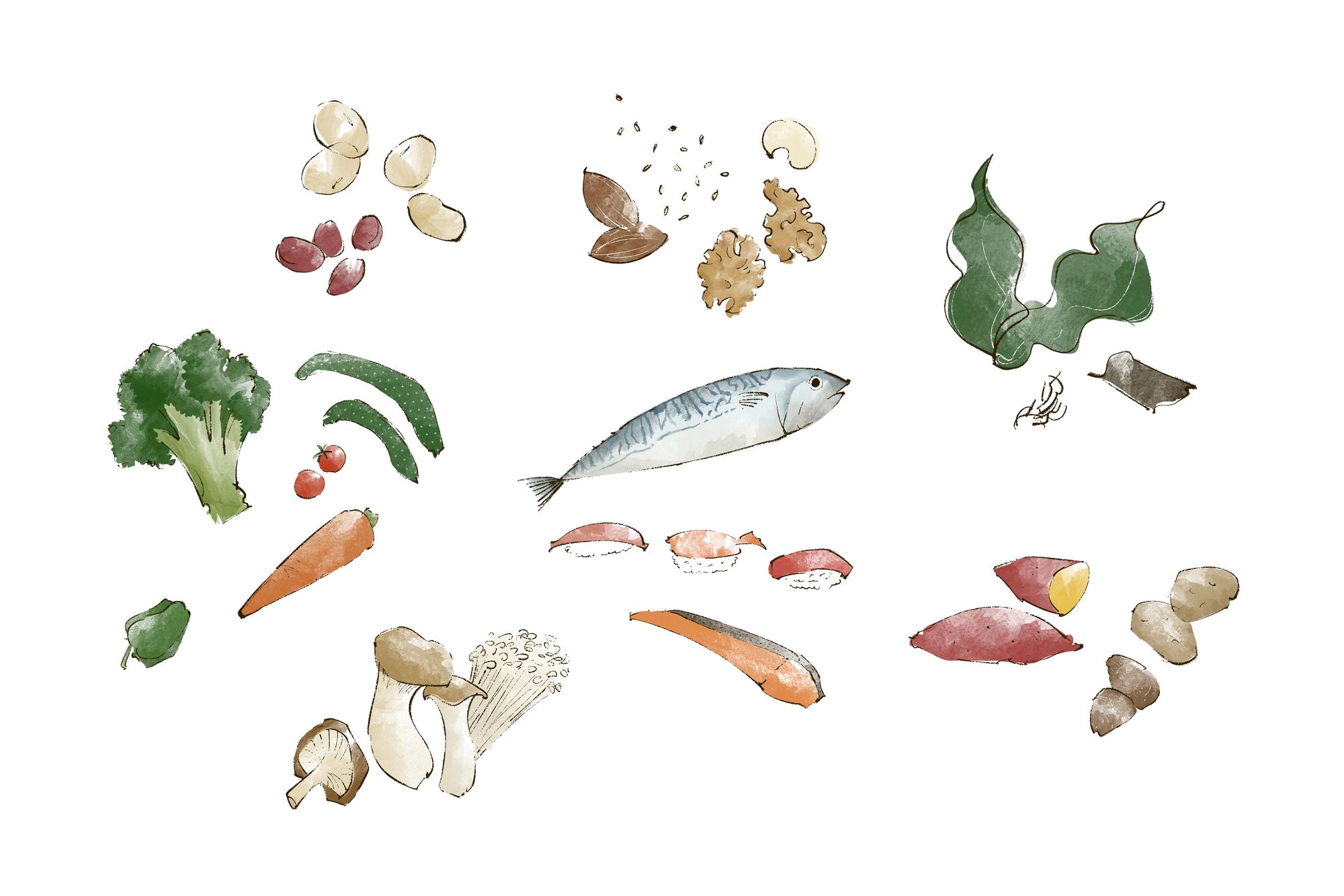 腸活フードの代表「まごわやさしいこ」の食事のイラスト