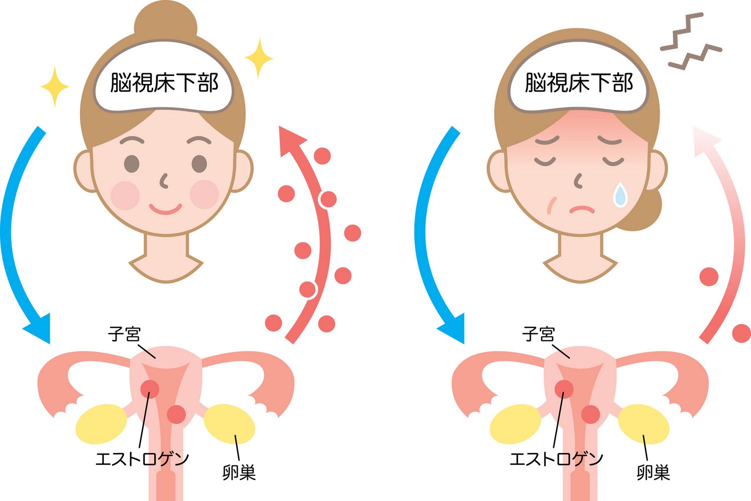 ホルモンバランス トンデモ医療
