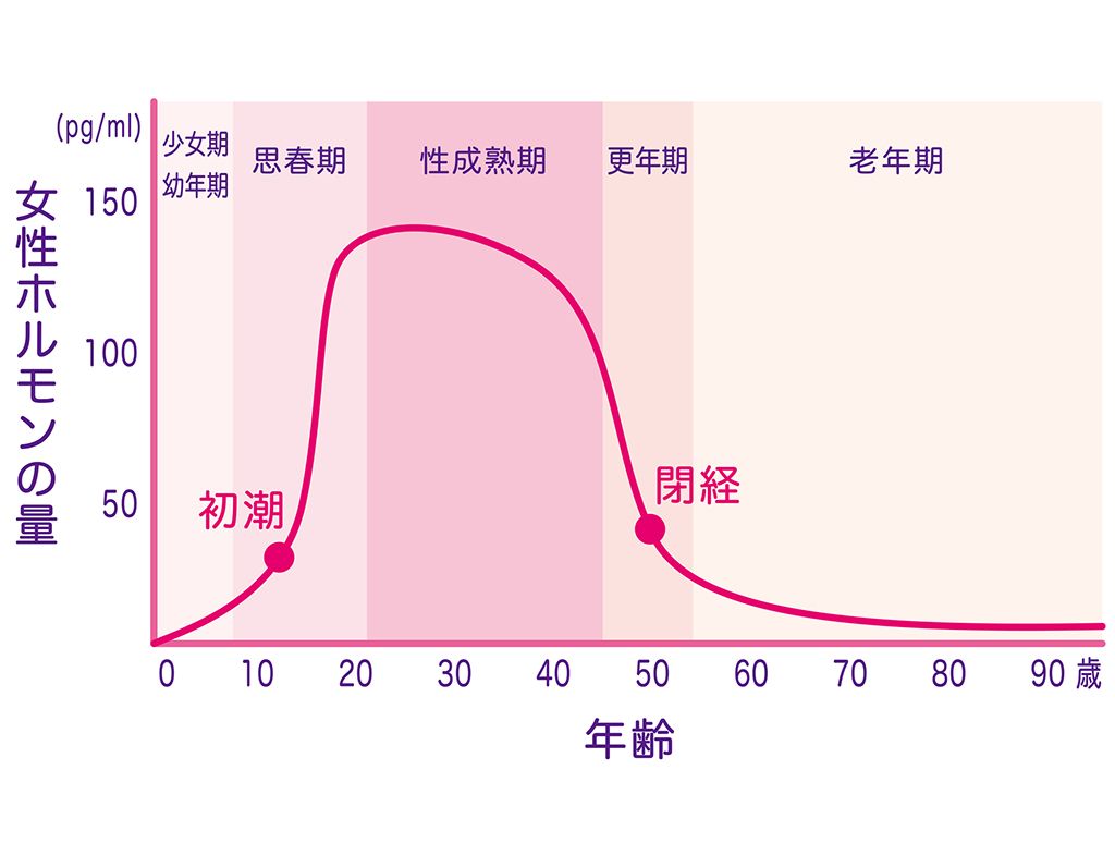女性ホルモン（エストロゲン）の変化