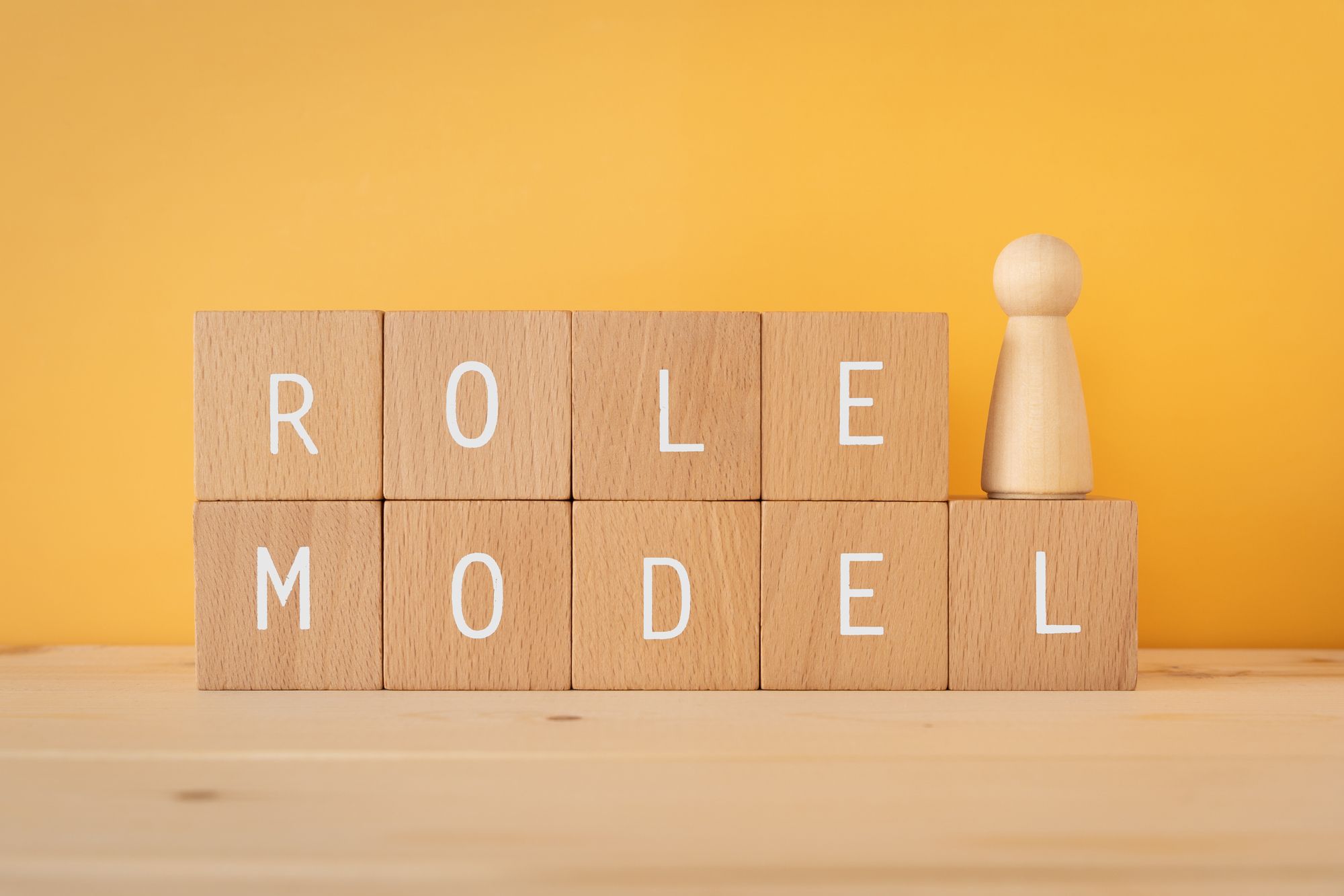 ROLE MODELと書かれた積み木と木の人形