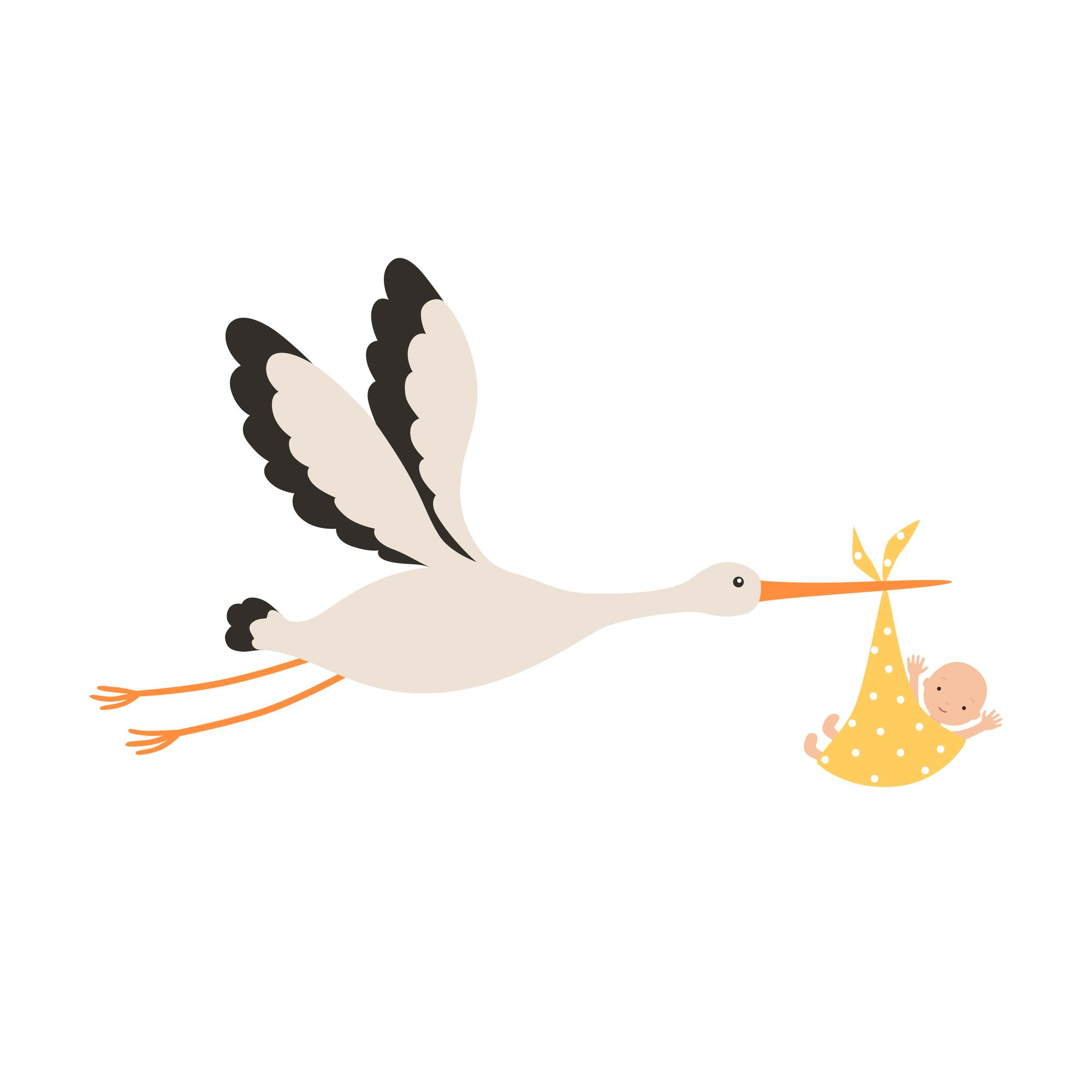 赤ちゃんを運ぶコウノドリのイラスト