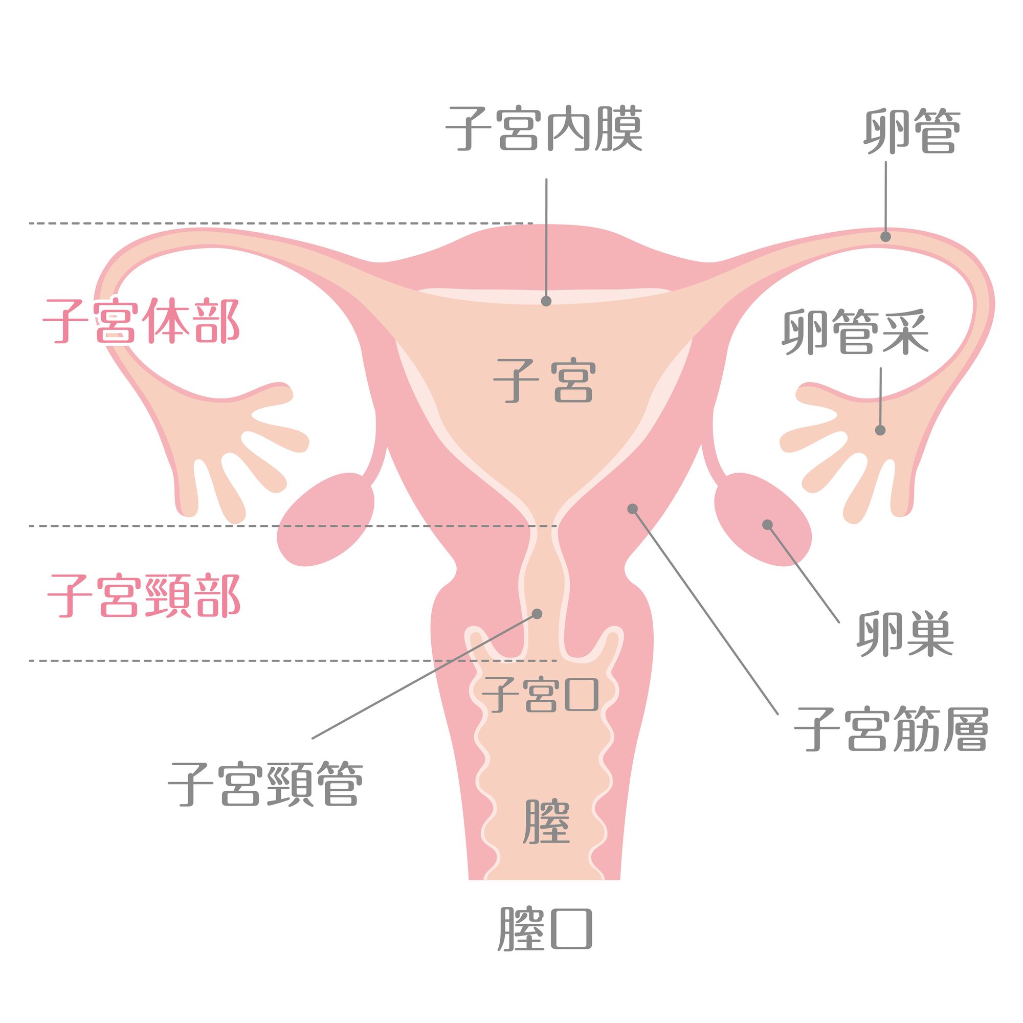 pixta_85467089_M.jpg