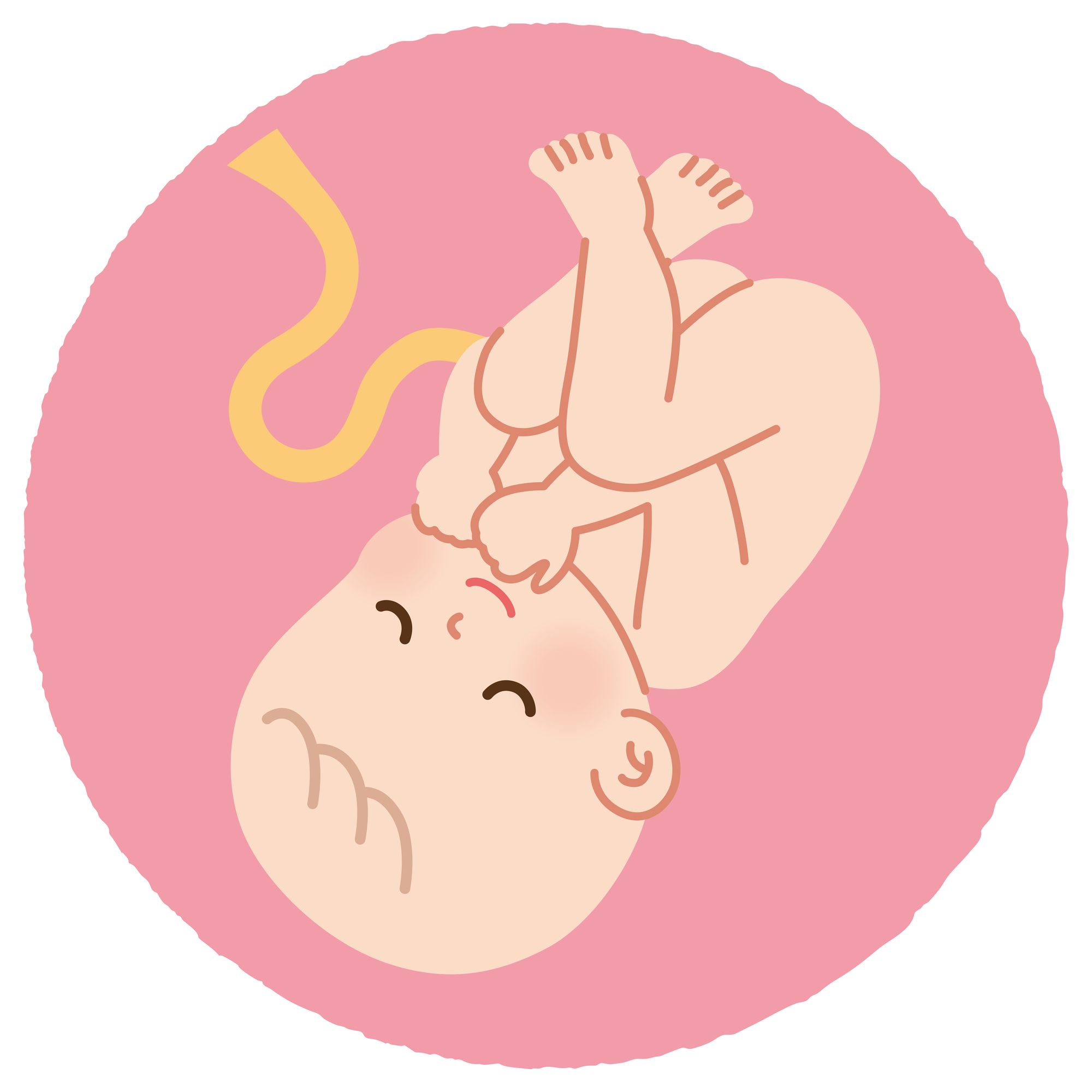 お母さんのおなかの中の赤ちゃんのイラスト