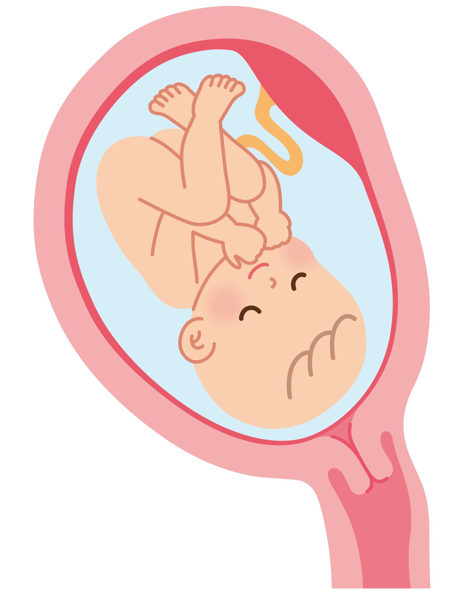 羊水の中に浮かぶ赤ちゃんのイラスト