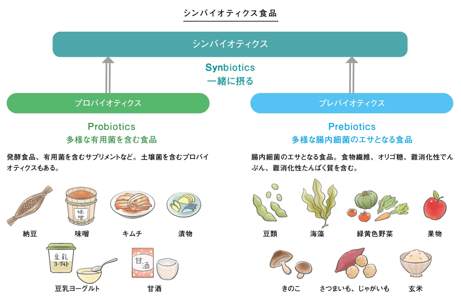 シンバイオティクス食品の主な例